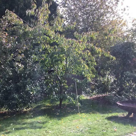 Apartment Altkoetzschenbroda Radebeul